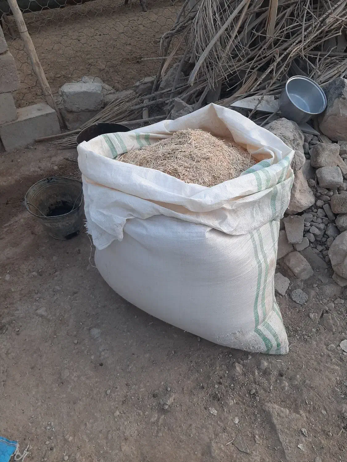 کاه گندم(کاه کمباین و پیله دار)|لوازم جانبی حیوانات|زرین دشت (فارس), |دیوار