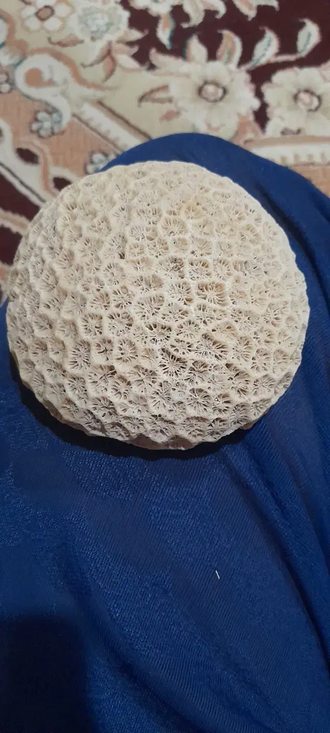 سنگ|کلکسیون اشیاء عتیقه|زرین دشت (فارس), |دیوار