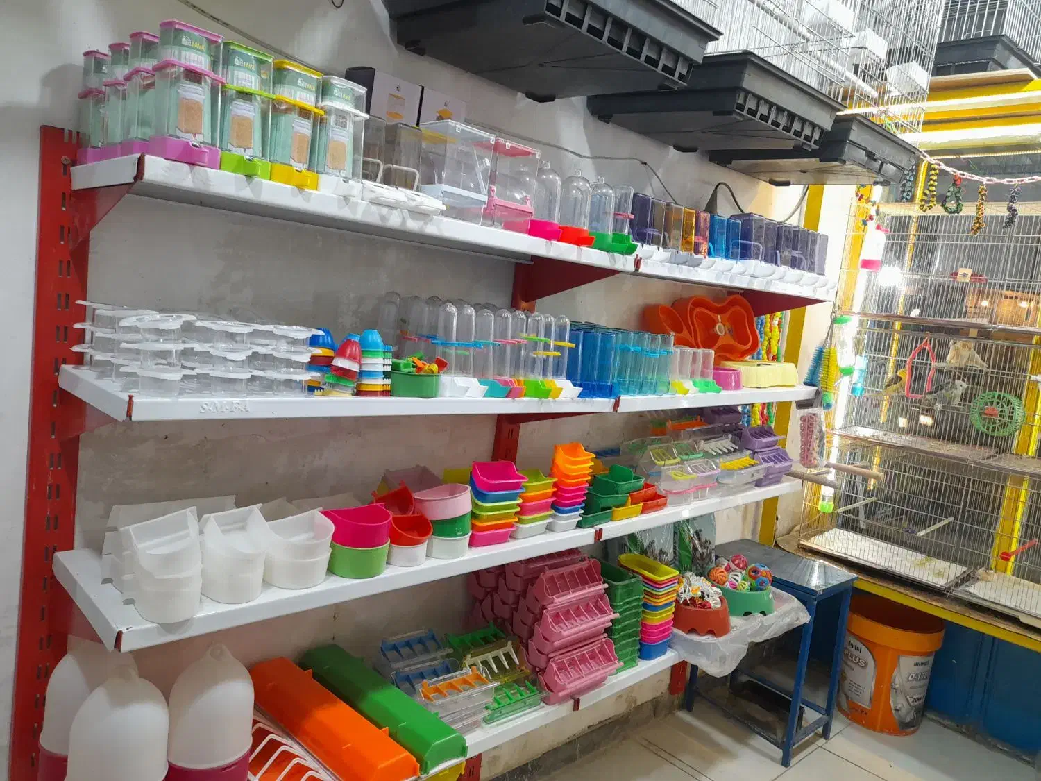 ملزومات پرنده|پرنده|خرمشهر, |دیوار