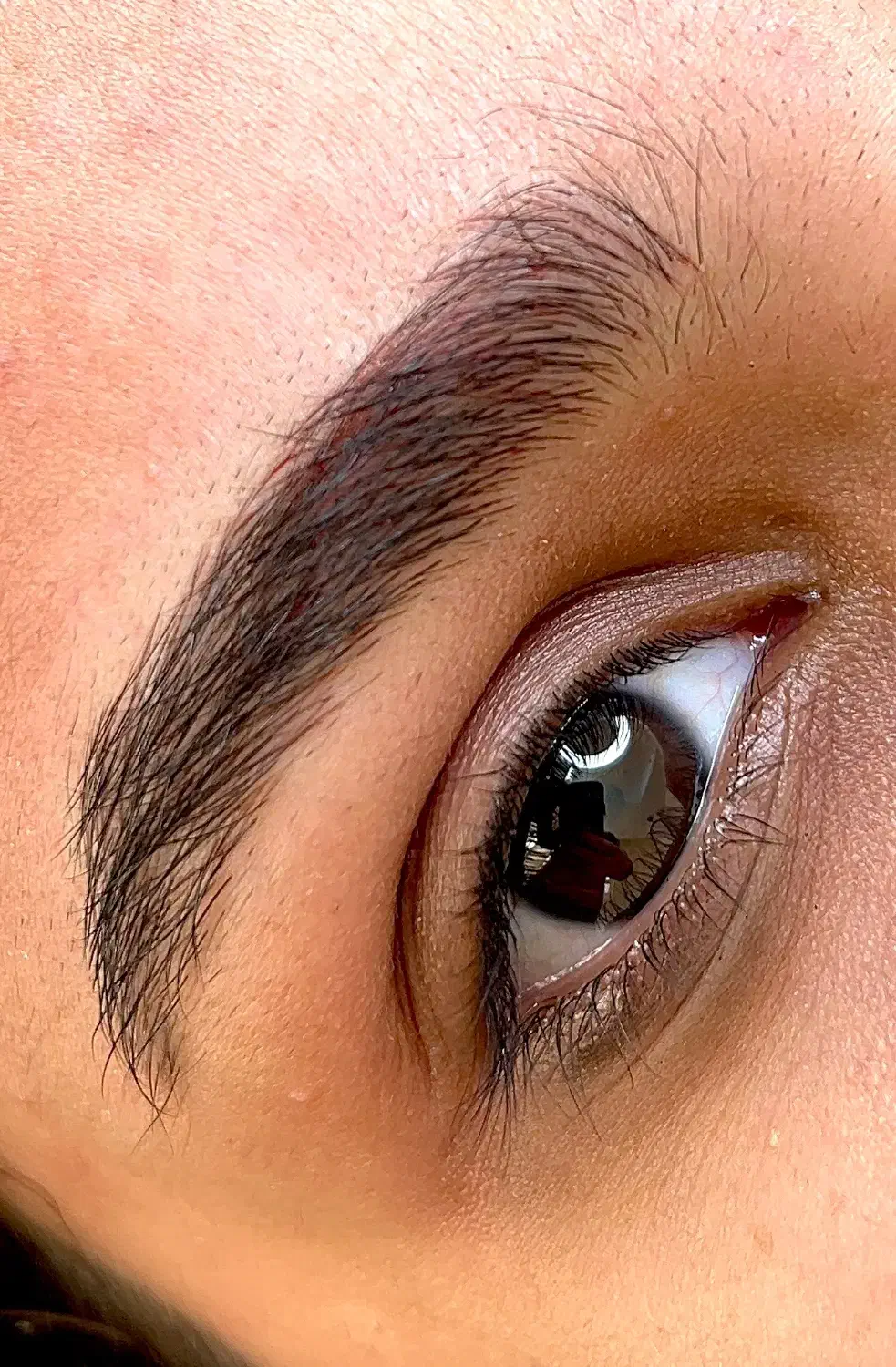 مدل رایگان فیبروز ابرو|خدمات آرایشگری و زیبایی|نوشهر, |دیوار