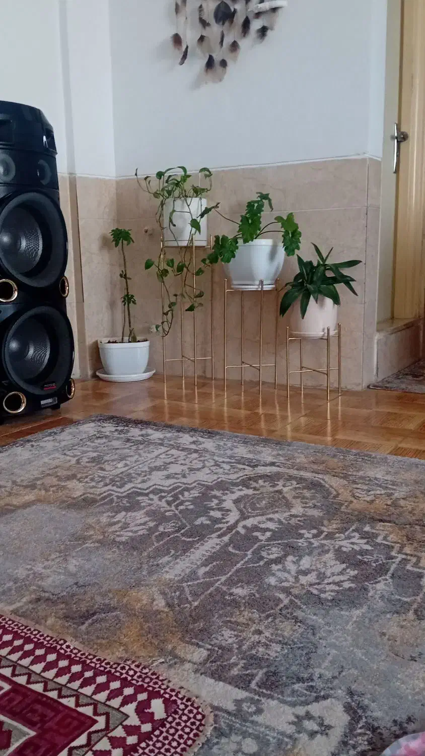 فرش|فرش|تهران, یافت آباد جنوبی|دیوار