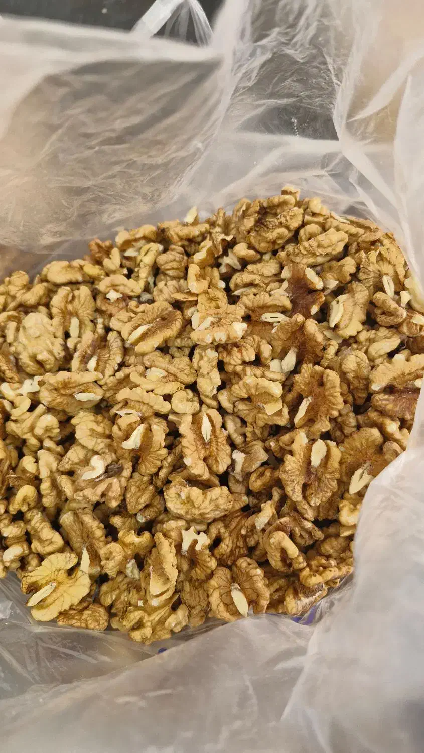 فروش گردوی تویسرکان|خوردنی و آشامیدنی|رشت, بلوار گیلان|دیوار