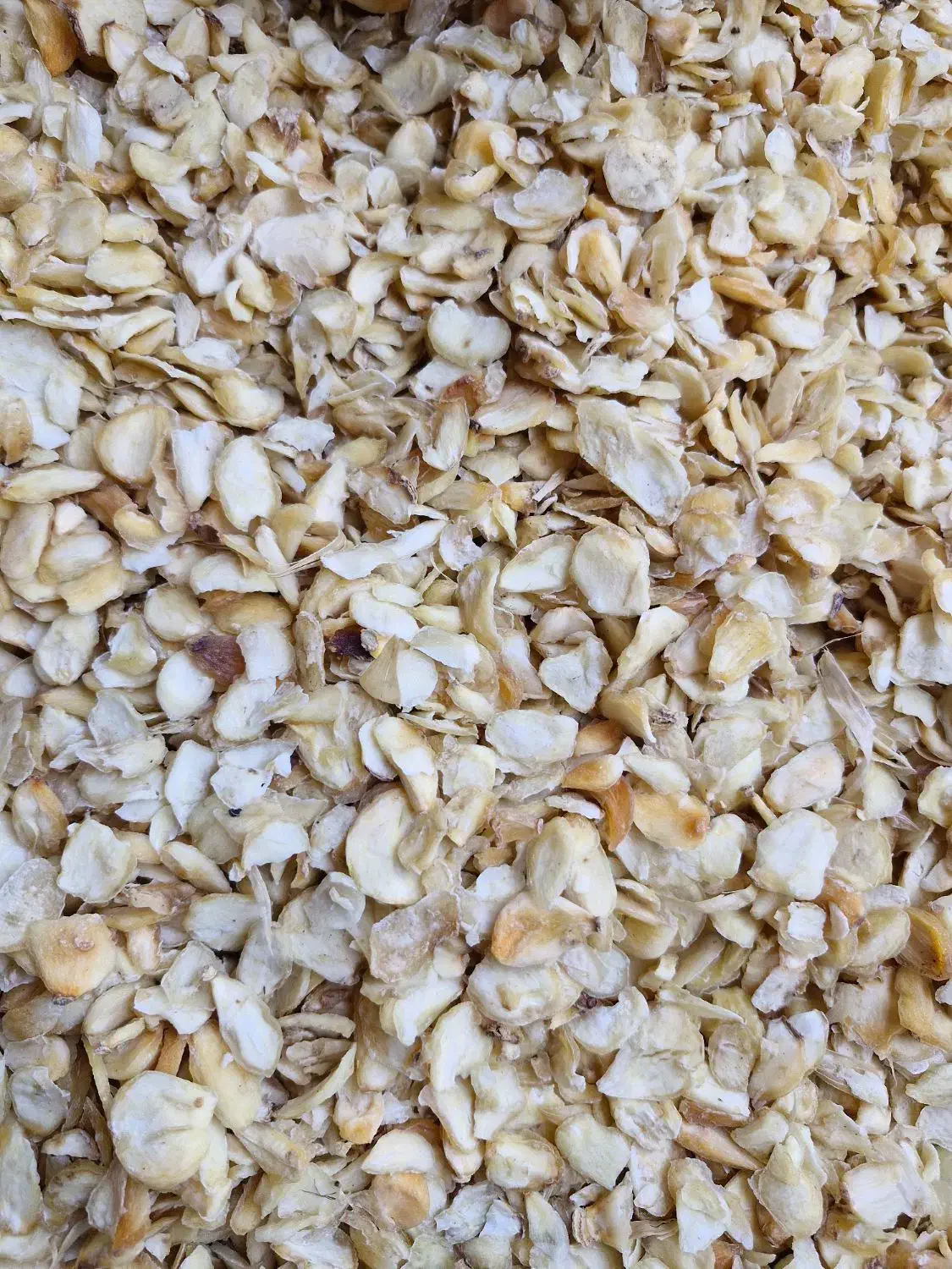سیر خشک|عمده‌فروشی|گناباد, |دیوار