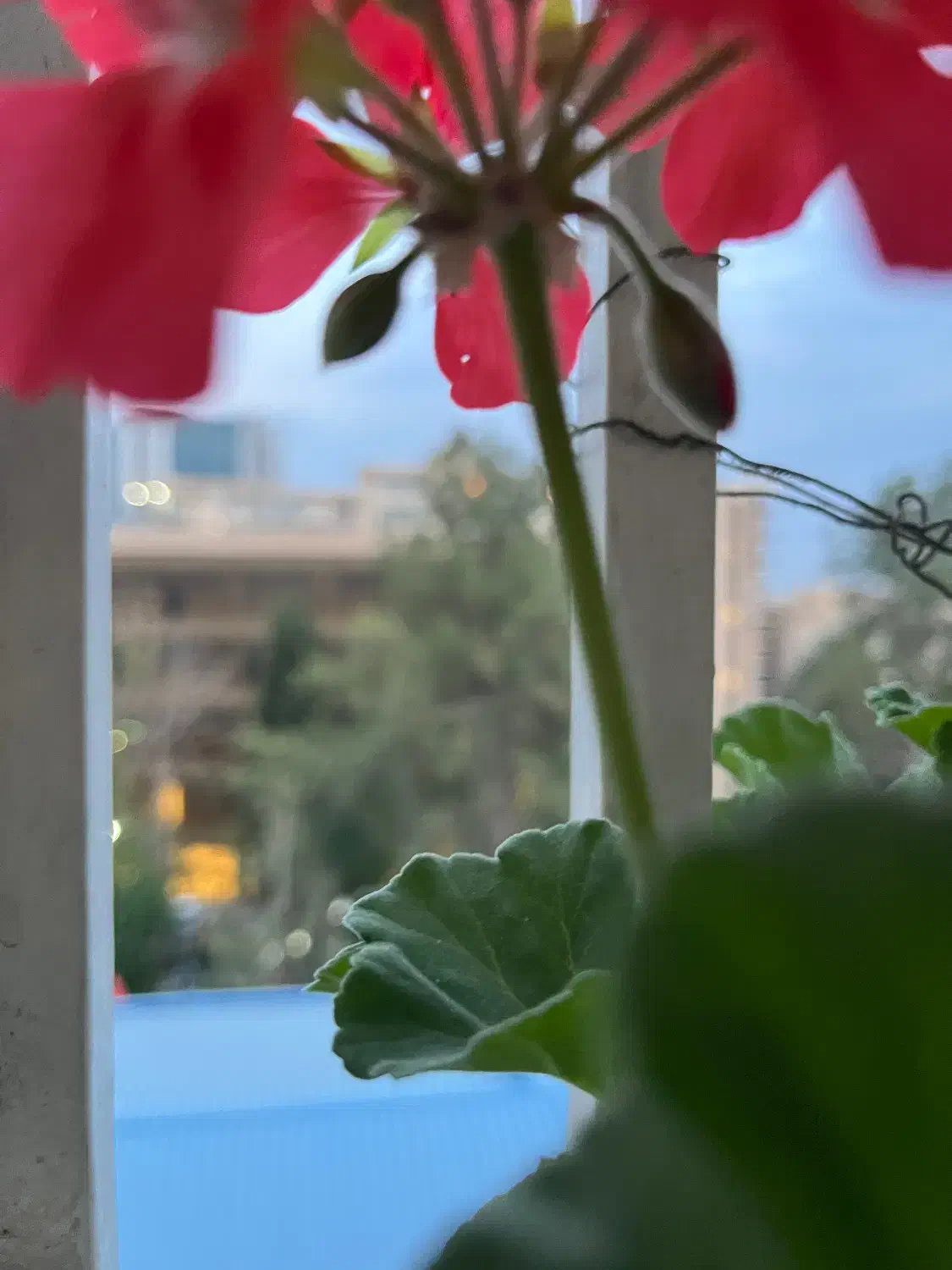 قالب سیلیکونی سنگ مصنوعی و شمع|صنایع دستی و سایر لوازم تزئینی|بندرعباس, |دیوار