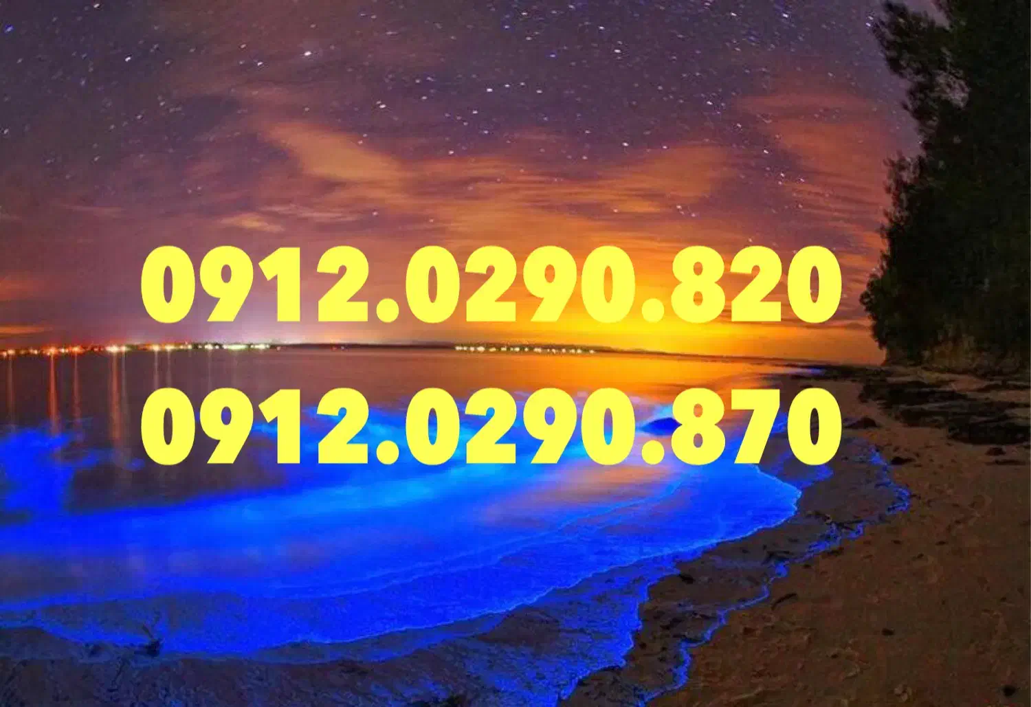 0912.0290.820|سیم‌کارت|تهران, امیریه|دیوار