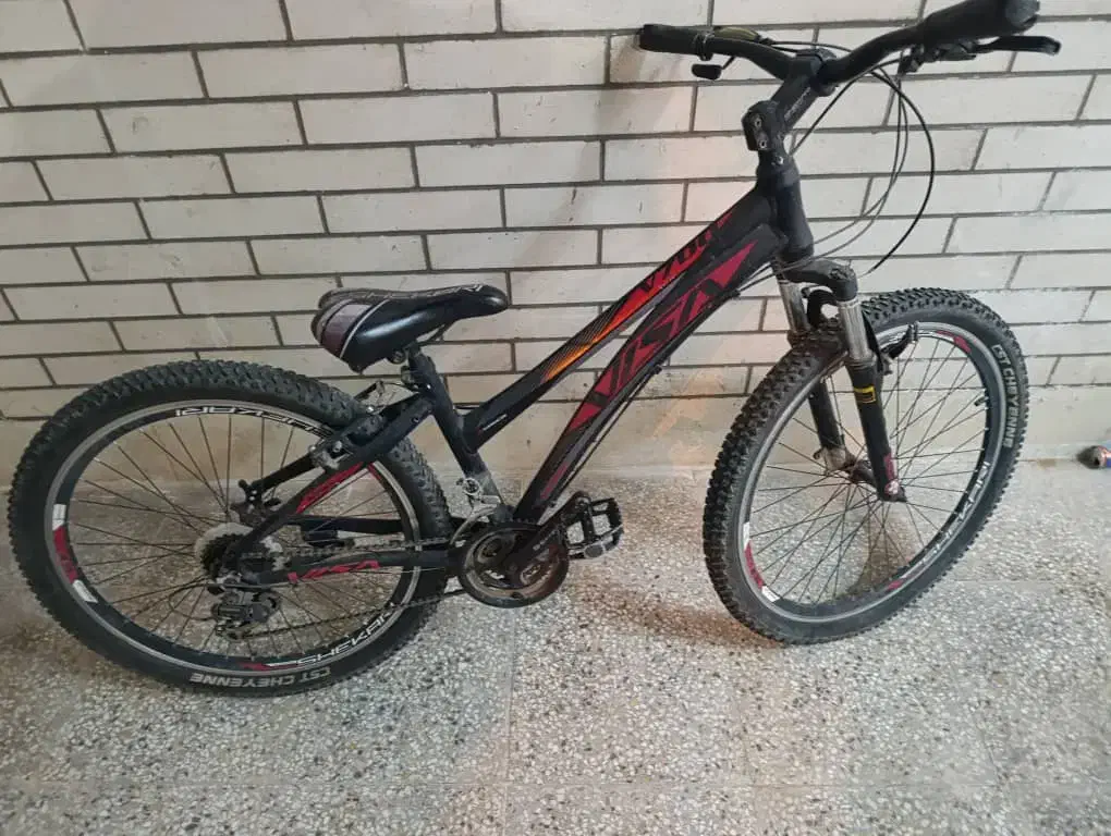 دوچذخه|دوچرخه، اسکیت، اسکوتر|رفسنجان, |دیوار