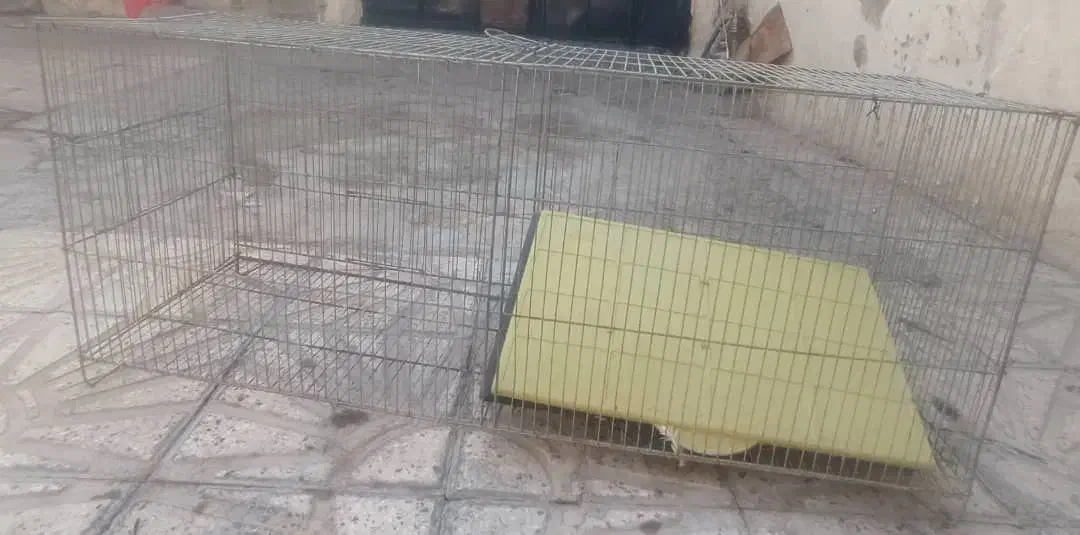 قفس دو قلو پرنده|لوازم جانبی حیوانات|مرودشت, ژیان|دیوار