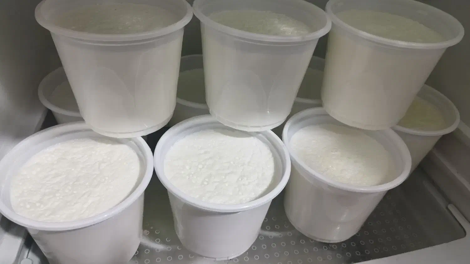 ماست گاومیش همه روزه موجود داریم|خوردنی و آشامیدنی|میاندوآب, |دیوار