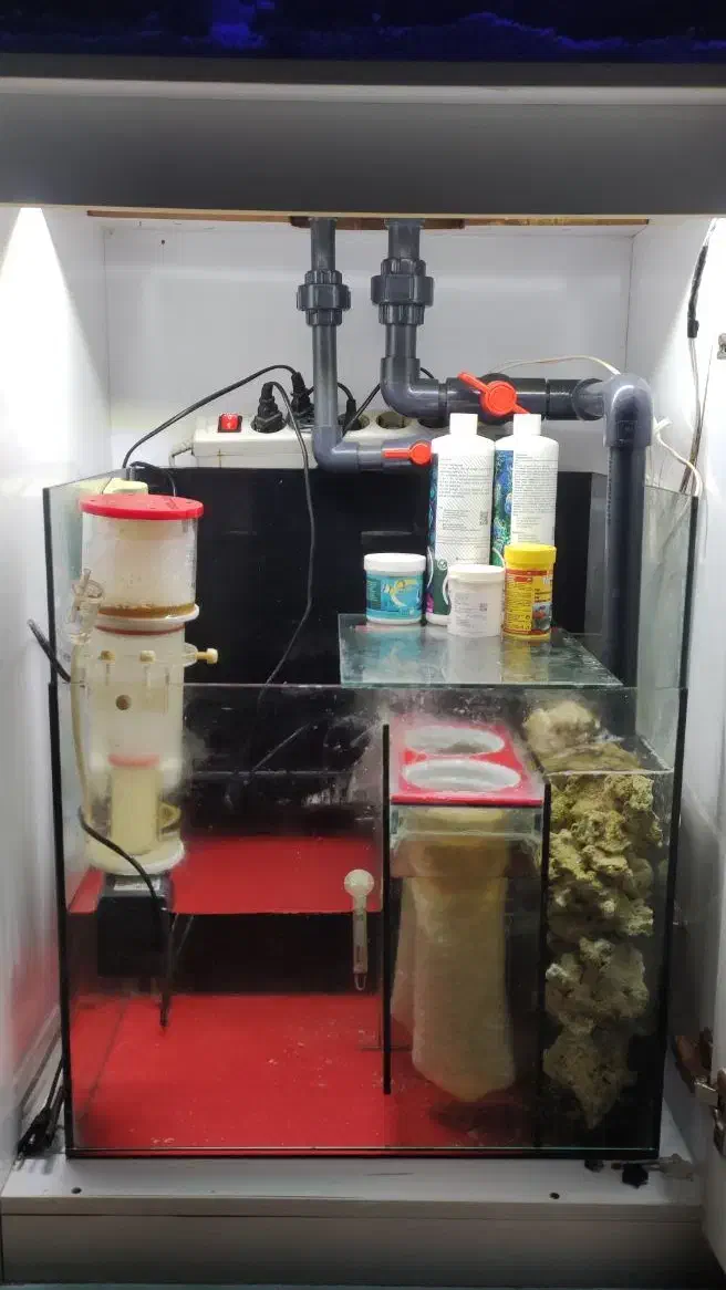 آکواریوم ریملکس حرفه ای|ماهی|اندیشه, شهرک مریم|دیوار