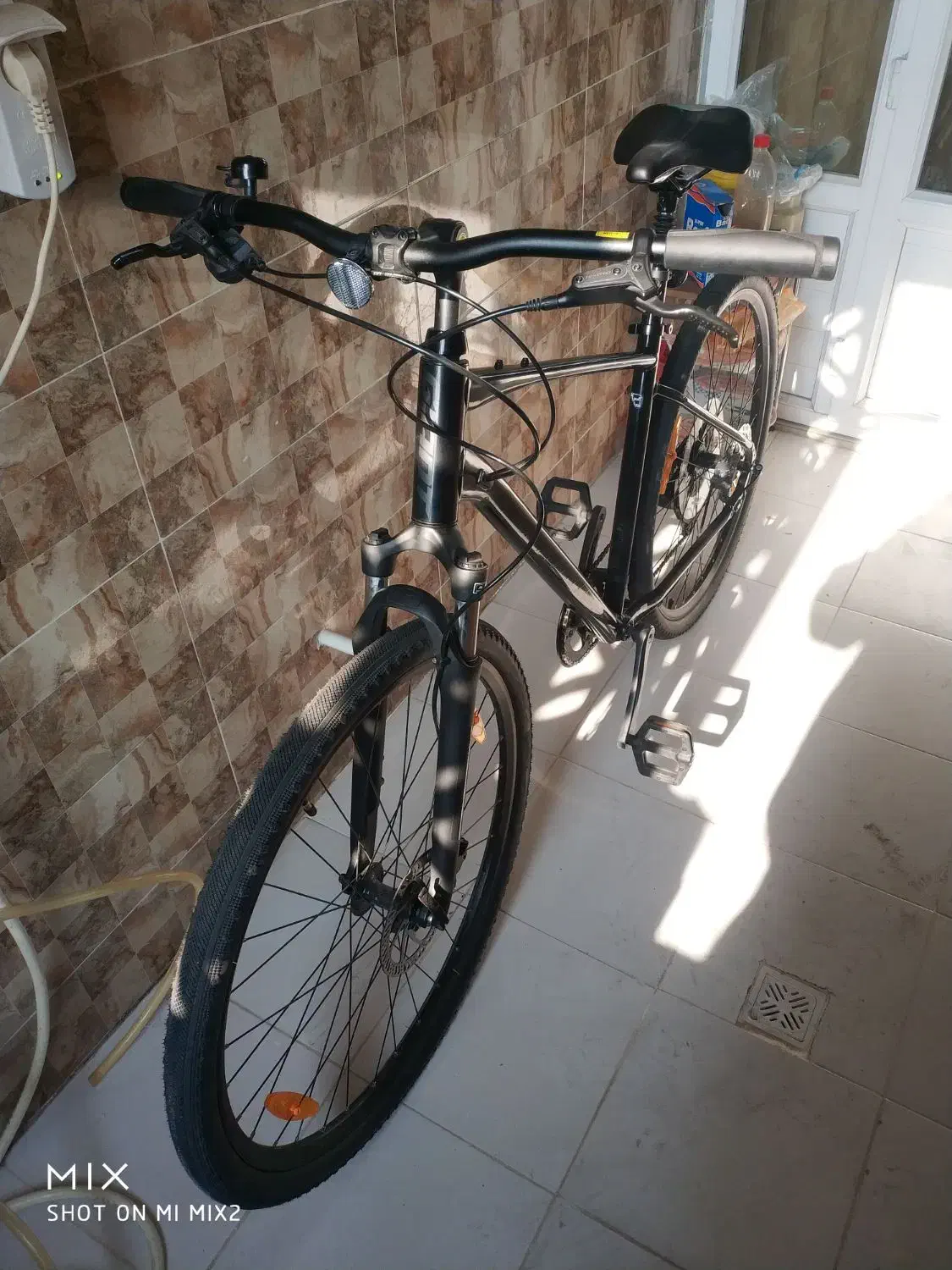 جاینت سایپرس 2 Giant cypress 2|دوچرخه، اسکیت، اسکوتر|تهران, عباس‌آباد|دیوار