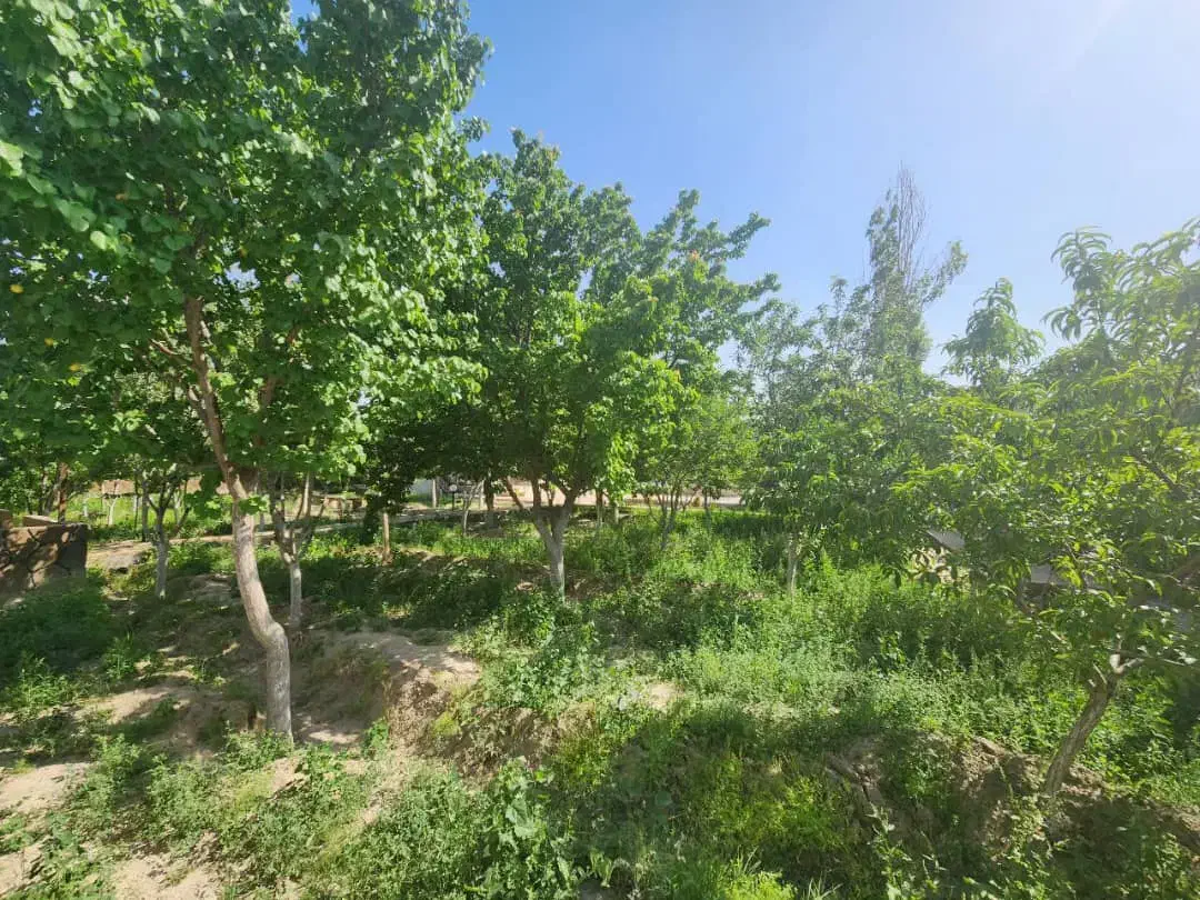 زمین هاشمیه ارتفاعات زو|فروش زمین و ملک کلنگی|مشهد, نیروی هوایی|دیوار