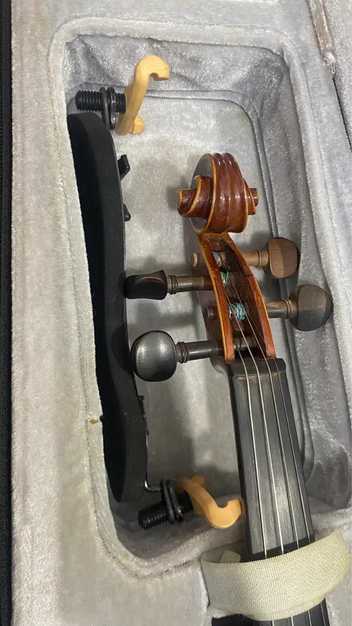 ویلن مدل TF142 تمیز و سالم|ویولن|آمل, |دیوار