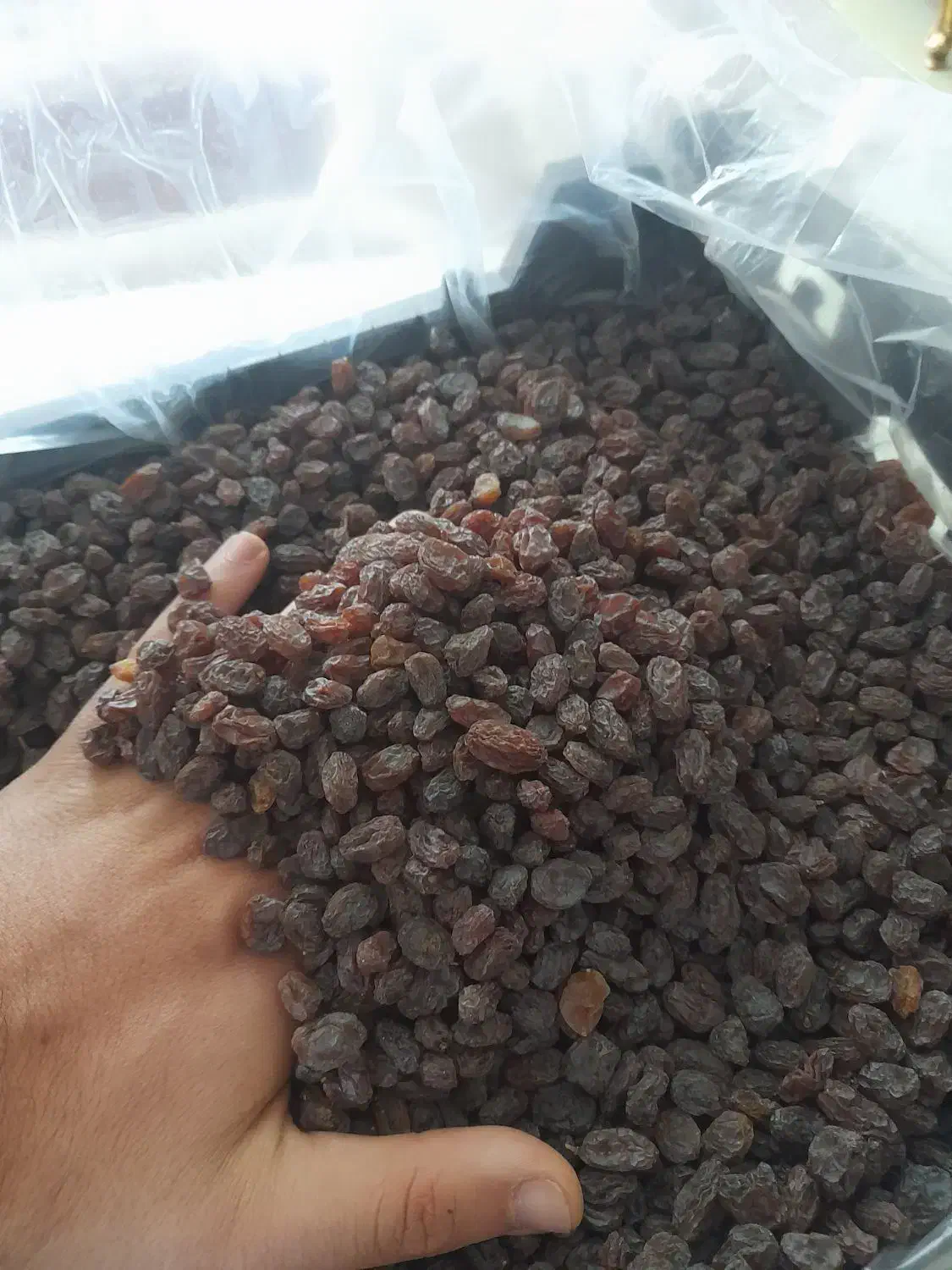 کشمش آفتابی امساله (یک دست درجه یک)|خوردنی و آشامیدنی|کرج, ساسانی (قلمستان)|دیوار