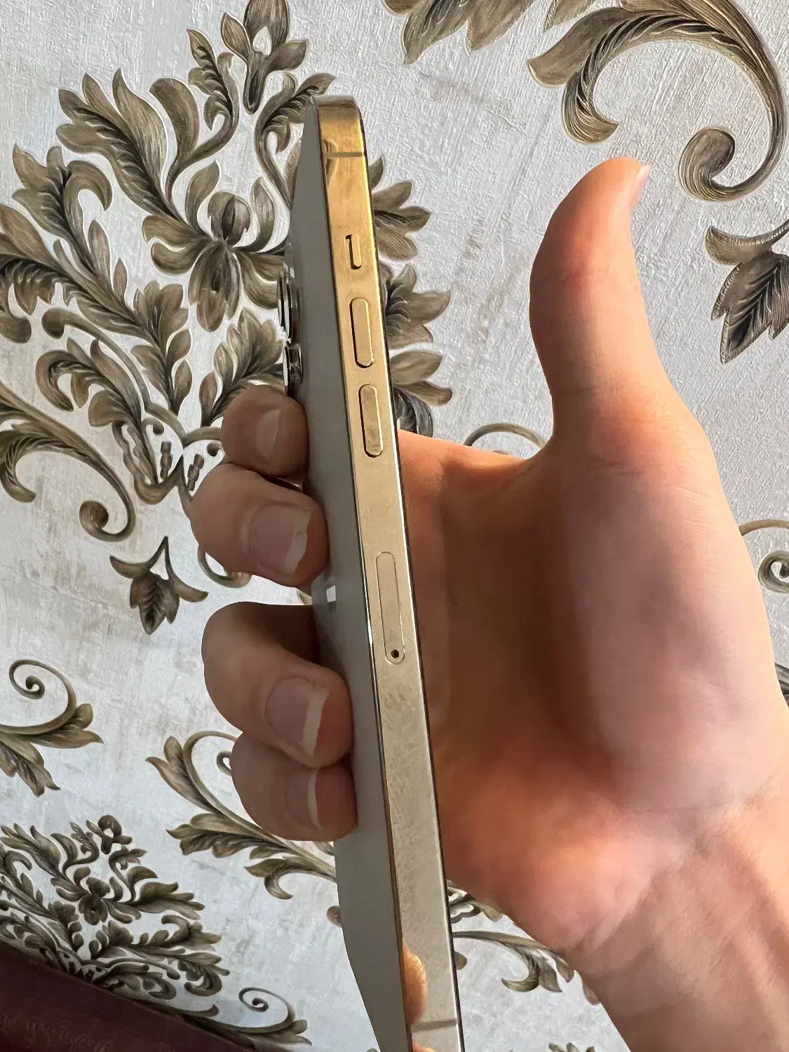 آیفون 12 پرومکس 256 z/aa|موبایل|اصفهان, فرهنگیان|دیوار