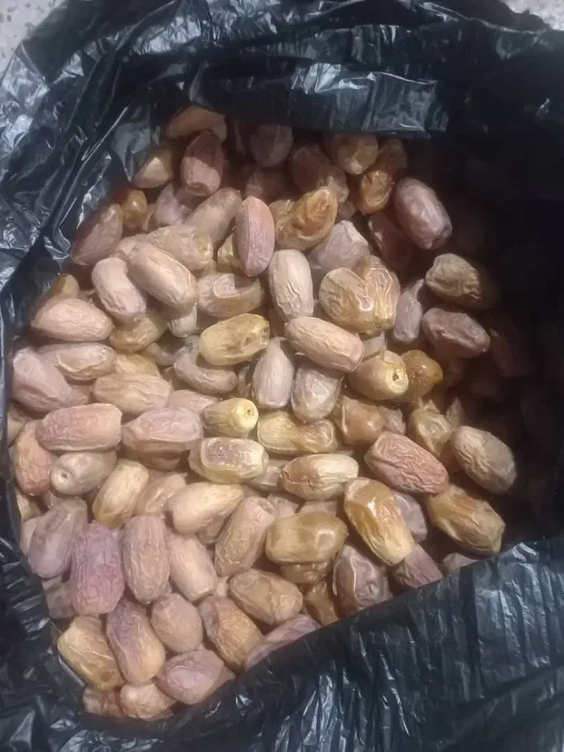 قصب|خوردنی و آشامیدنی|شیراز, شهرک فرهنگیان|دیوار