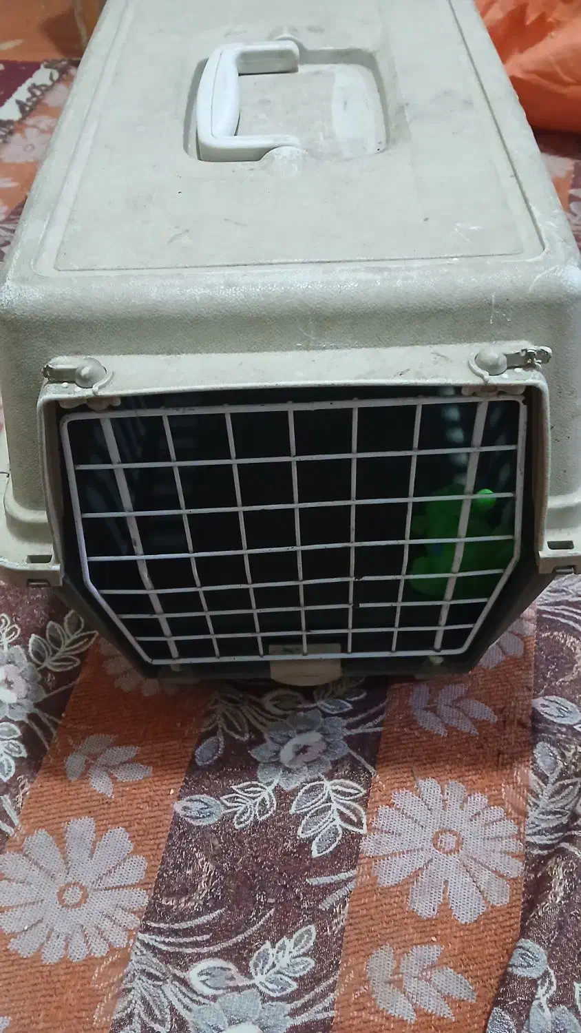 باکس|لوازم جانبی حیوانات|کرج, کوی امامیه|دیوار