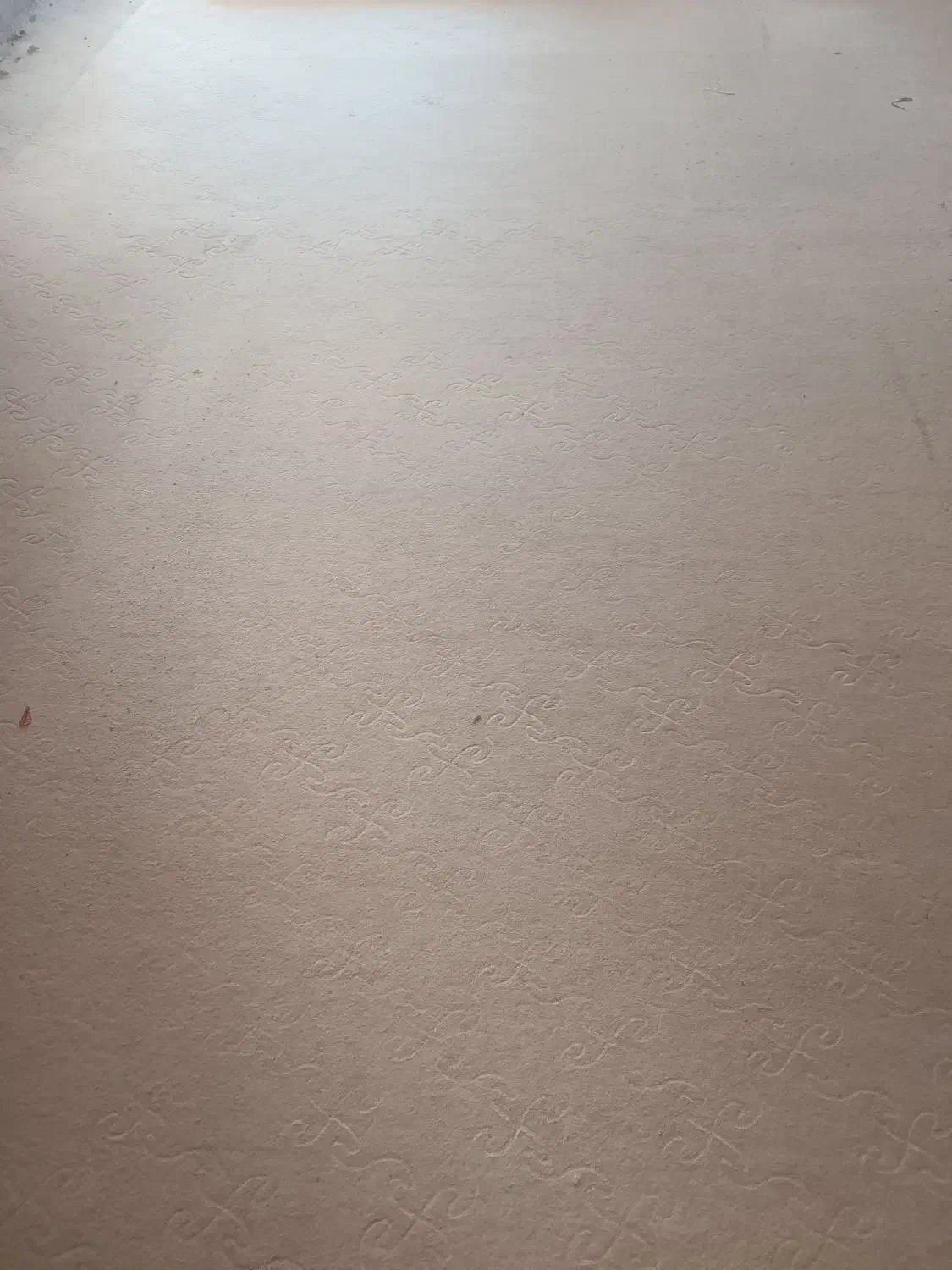 موکت رنگ نخودی ۶۰متر حدودا|موکت|اصفهان, سپاهان‌شهر|دیوار