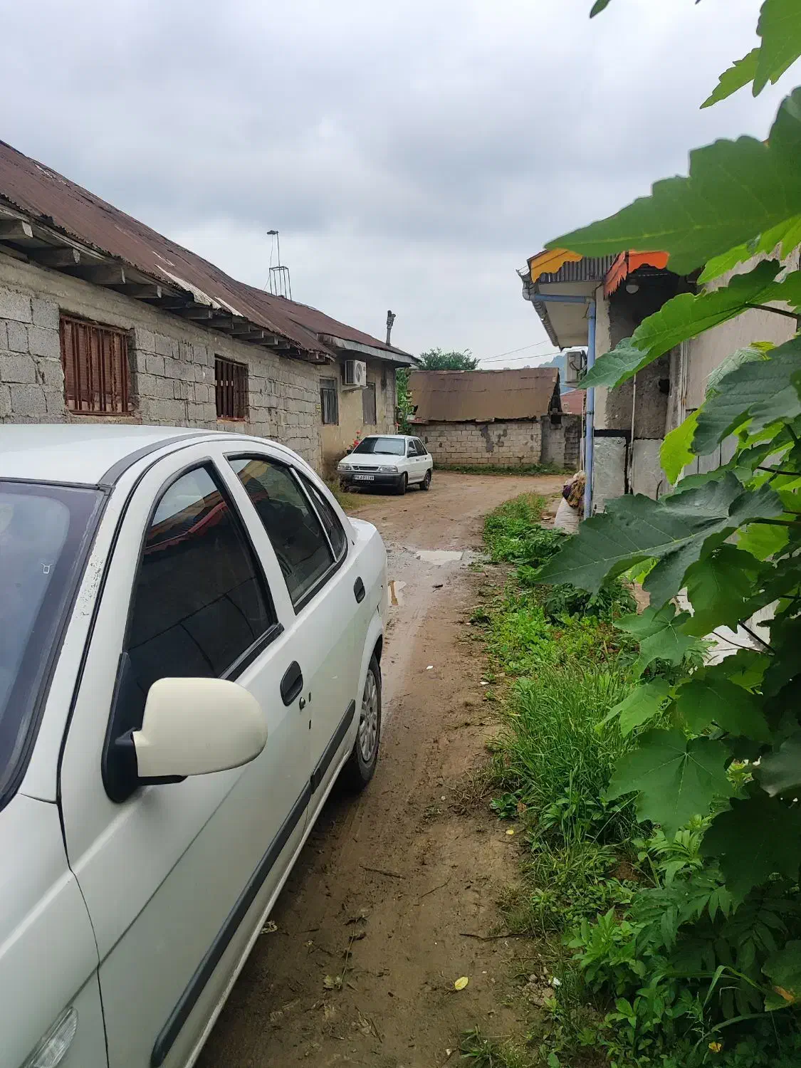 زمین در سطلسر لاهیجان|فروش زمین و ملک کلنگی|لاهیجان, لیل|دیوار