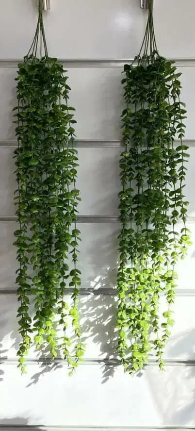 کم بهره|فعالیت داوطلبانه|بروجرد, |دیوار