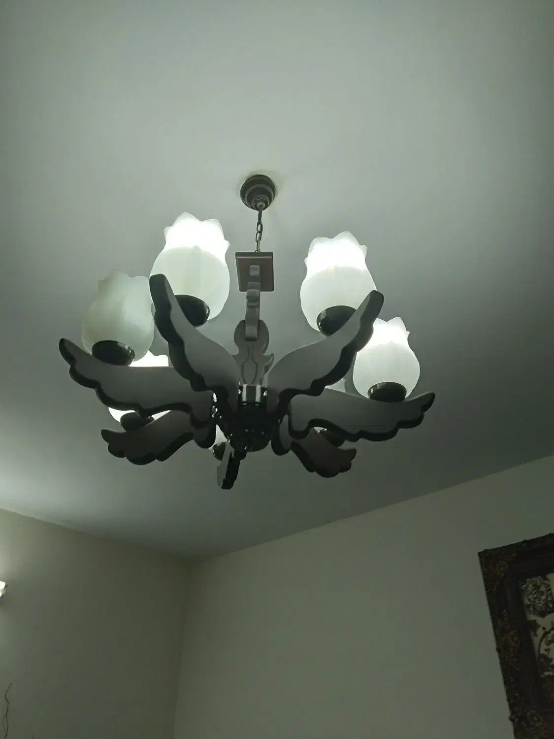 لوستر  و حباب|لوستر و چراغ آویز|قیامدشت - خاورشهر, |دیوار