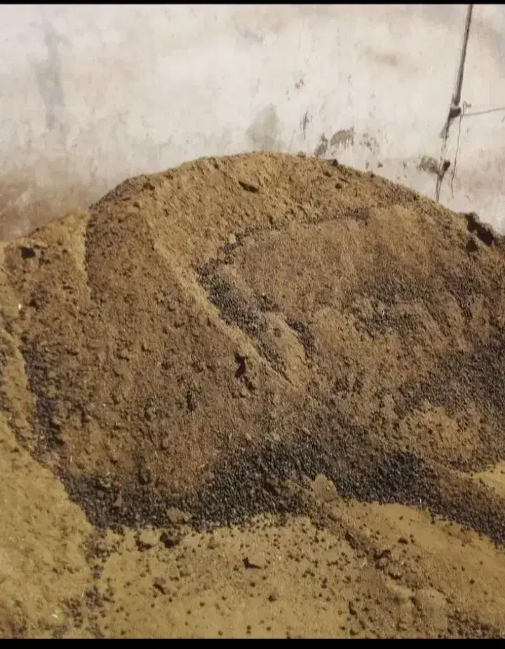 کود حیوانی ،اسبی،گاوی،گوسفندی|خدمات باغبانی و درختکاری|کرج, اتمسفر|دیوار