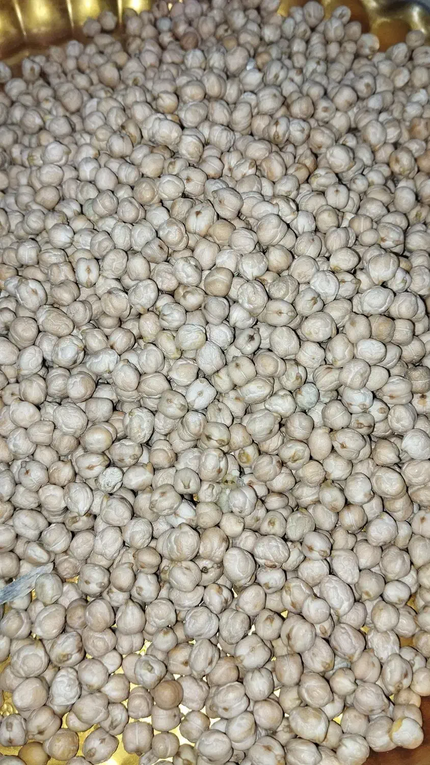 نخود آبگوشتی درجه یک|خوردنی و آشامیدنی|دوزین, |دیوار