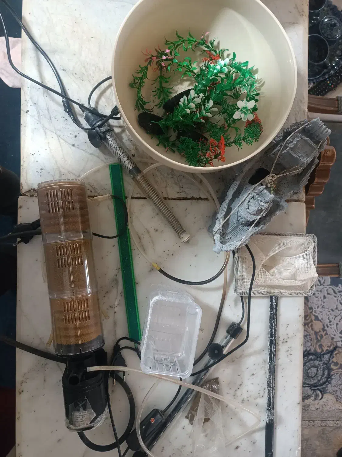 اکواریم|ماهی|نیشابور, ریوند|دیوار