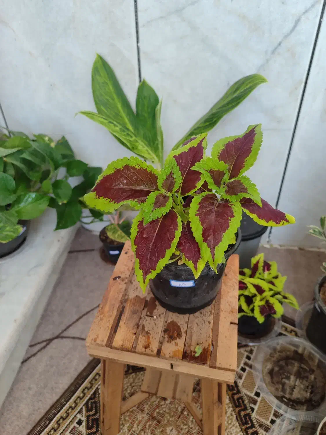 وام خانگی،معتبر،رسمی|خدمات مالی، حسابداری، بیمه|داراب, |دیوار