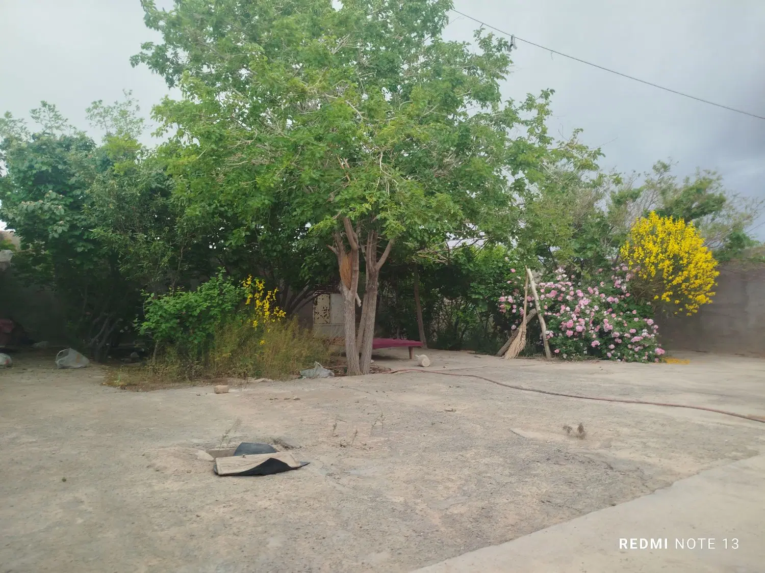 تصویر 4