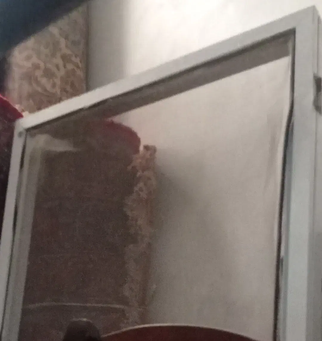 کلی لوازم منزل و اشپزخانه فروش فوری|حراج|سبزوار, گلشن|دیوار