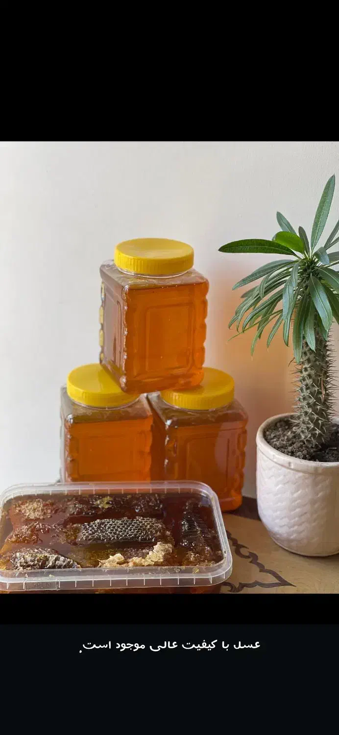 عسل باغی ( دنا شهد)|خوردنی و آشامیدنی|تهران, جیحون|دیوار