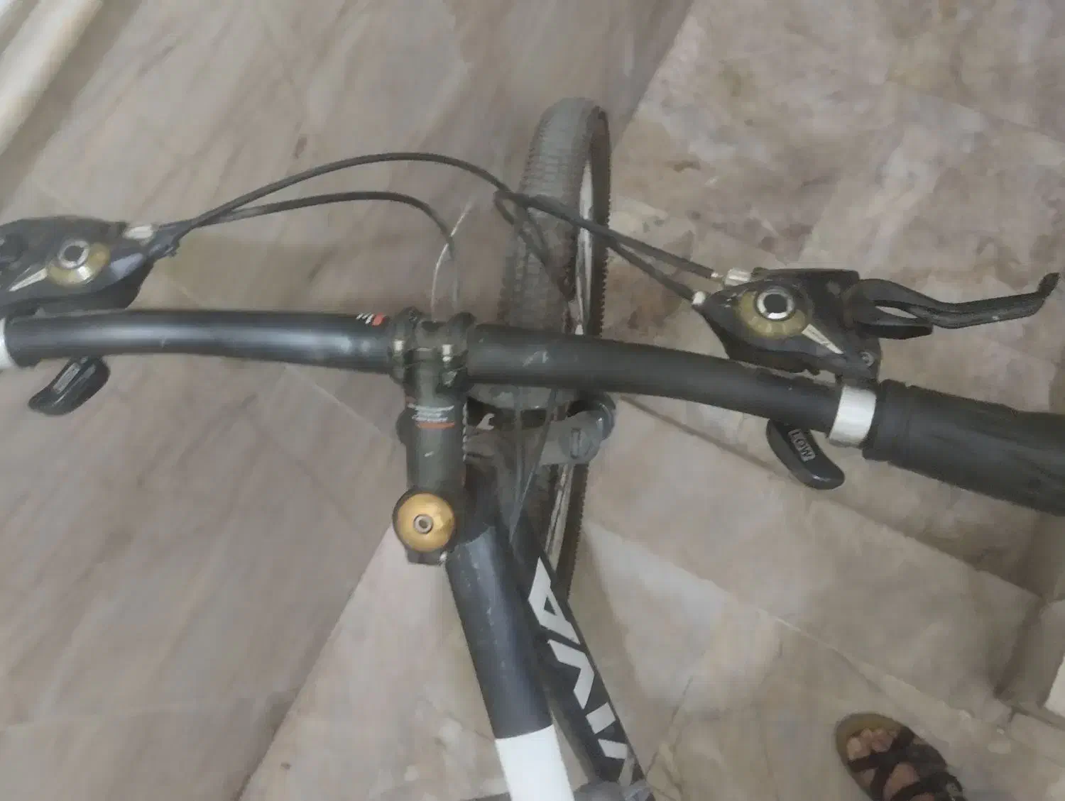 ویوا 26|دوچرخه، اسکیت، اسکوتر|مشهد, امیر|دیوار