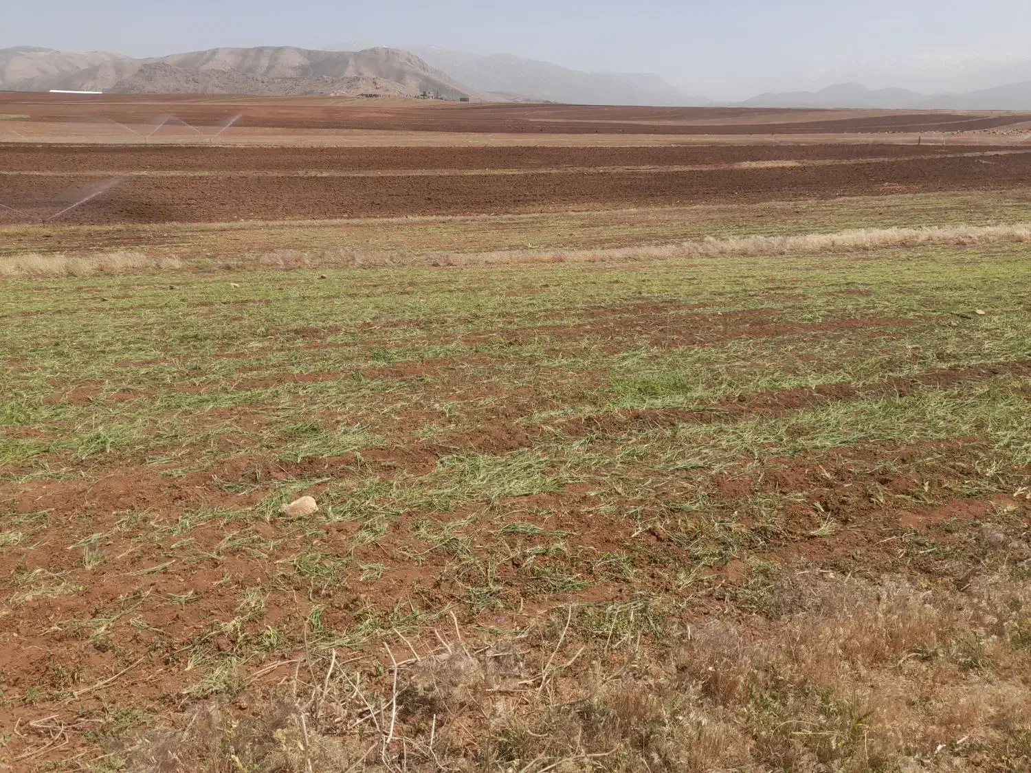 زمین کشاورزی آبی بارانی کوهرنگ|فروش زمین و ملک کلنگی|کوهرنگ, |دیوار