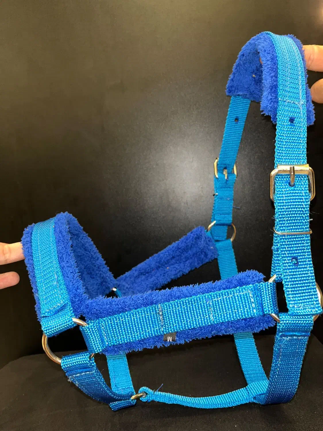 کله گیر پا آخوری اسب و گاو|اسب و تجهیزات اسبسواری|لاهیجان, کوی آزادگان|دیوار