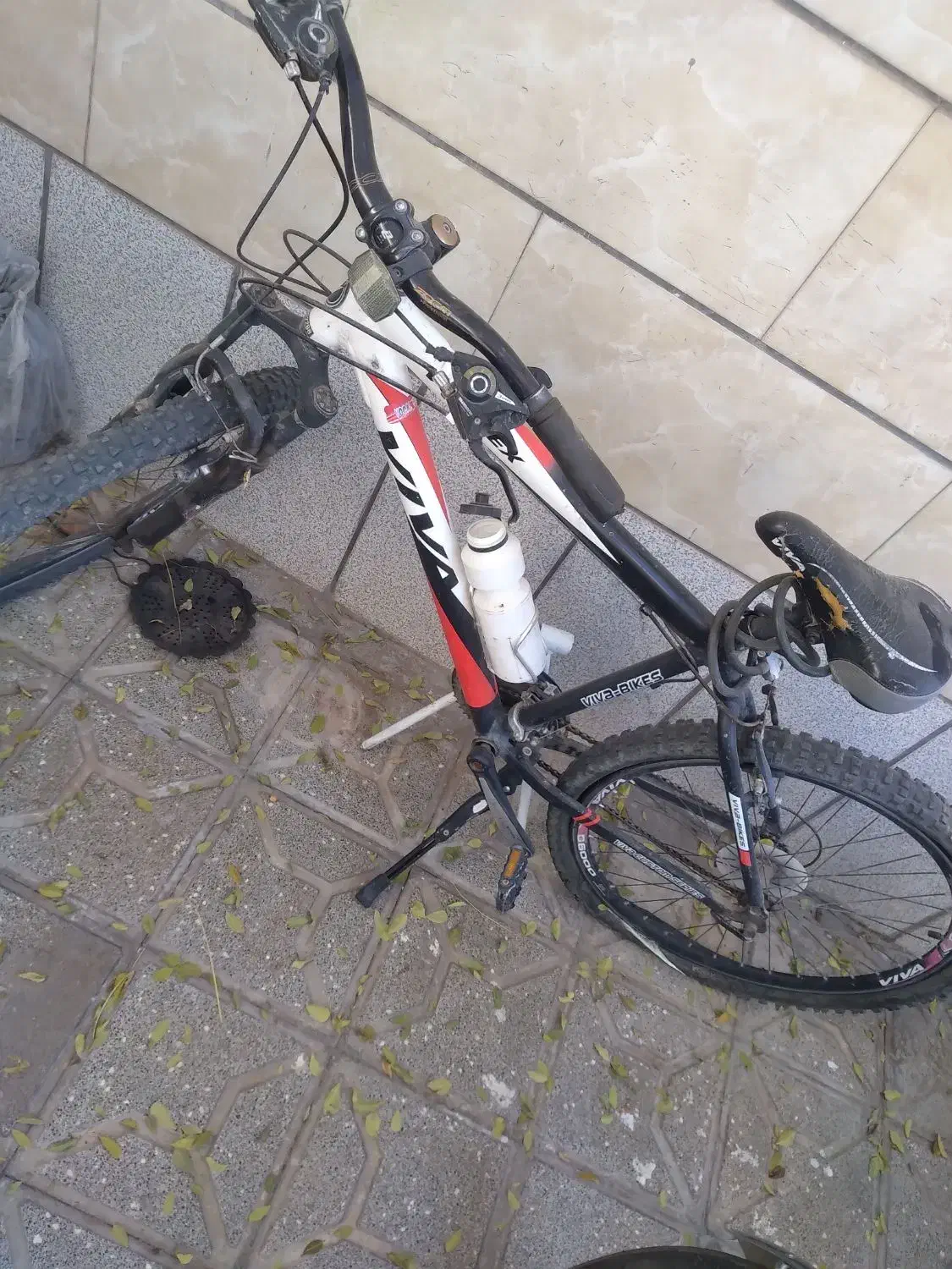 دوچرخه viva vortex|دوچرخه، اسکیت، اسکوتر|تربت جام, والفجر|دیوار