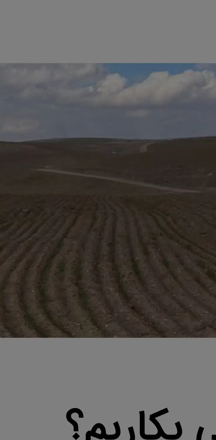 فروش زمین کشاورزی در منطقه گلخانه ای|فروش زمین و ملک کلنگی|تیران, |دیوار