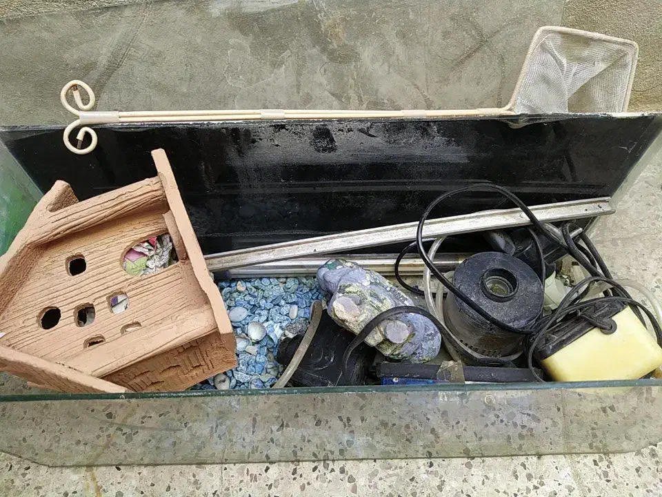 آکواریوم و لوازم داخلش|ماهی|مشهد, امیریه|دیوار