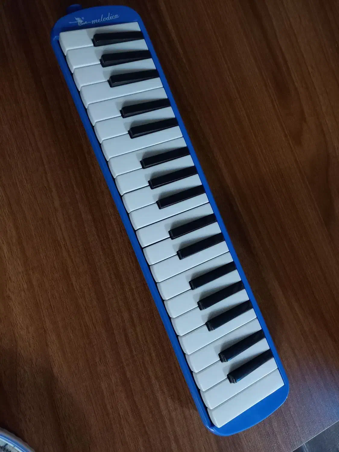 ملودیکا|پیانو، کیبورد، آکاردئون|بندر انزلی, جهانگانی|دیوار