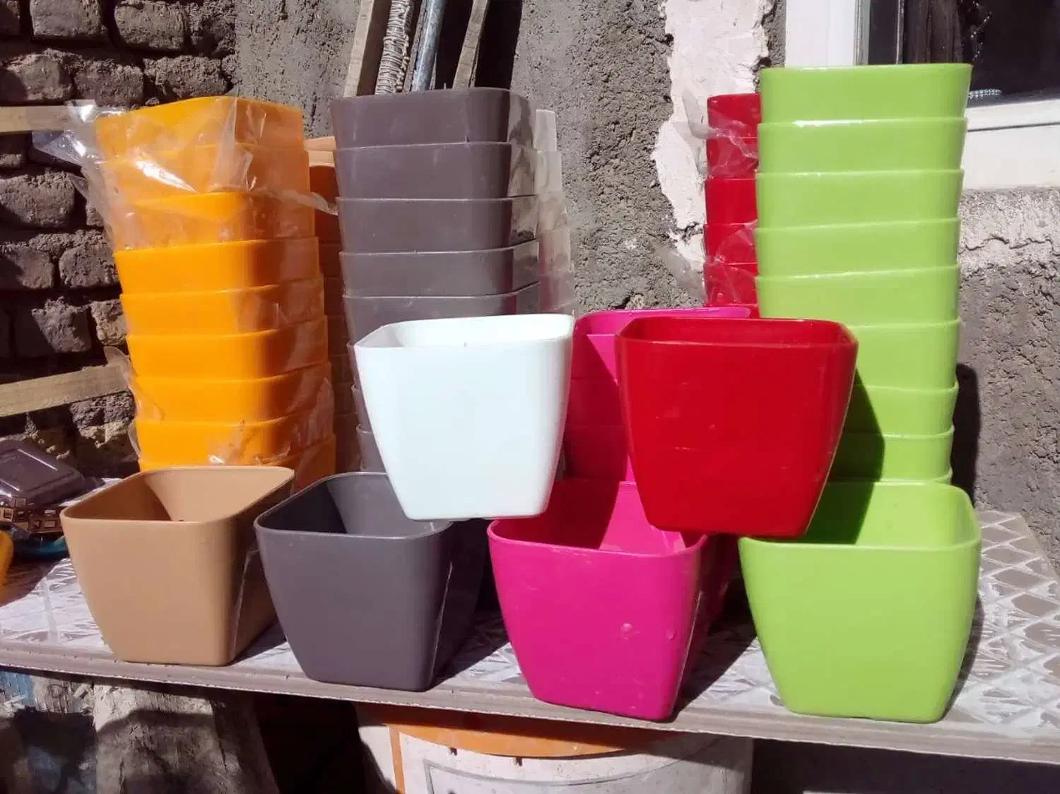 گلدان پلاستیکی|گل و گیاه طبیعی|گناباد, |دیوار