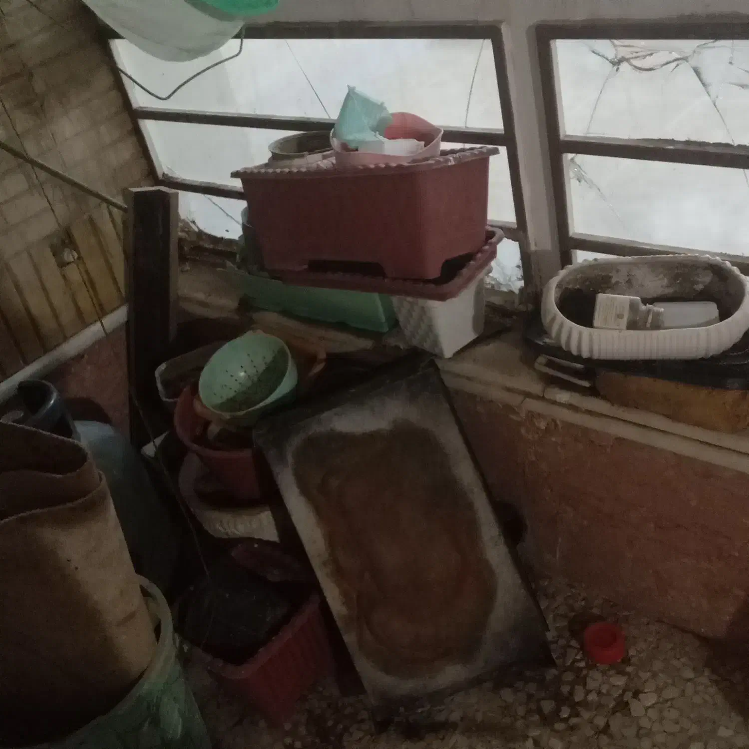 گلدان|گل و گیاه طبیعی|زابل, |دیوار