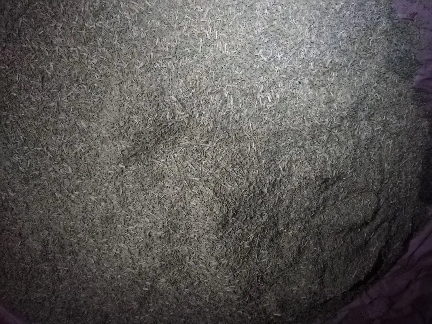 خار شتری|لوازم جانبی حیوانات|بردسکن, |دیوار