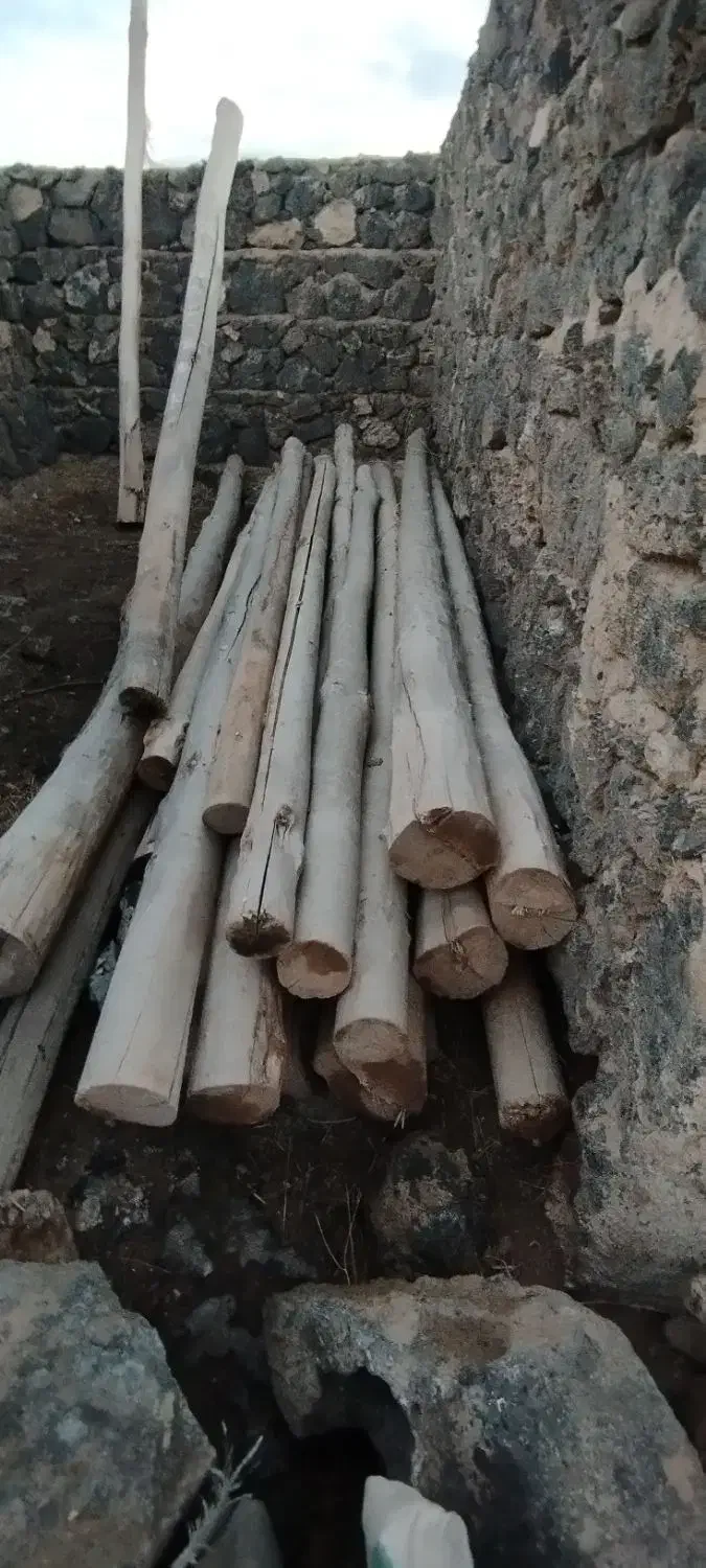 چوب های سقف|عمدهفروشی|پلدشت, |دیوار