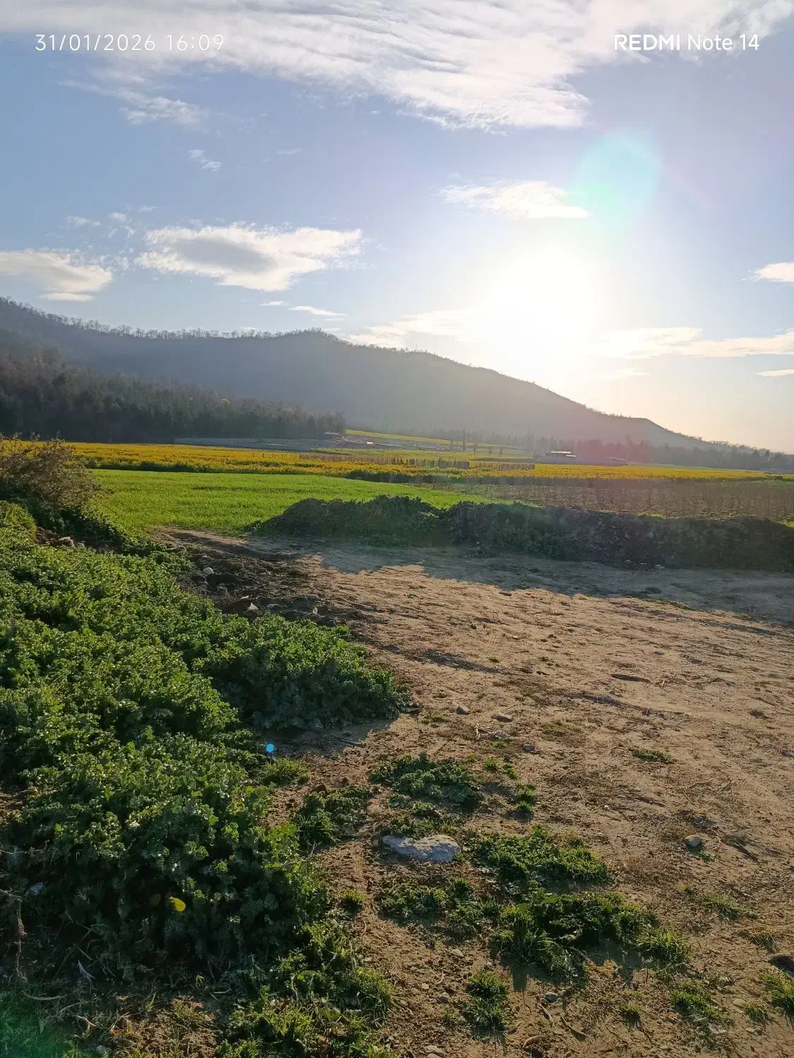 زمین فروشی|فروش زمین و ملک کلنگی|قرق, |دیوار