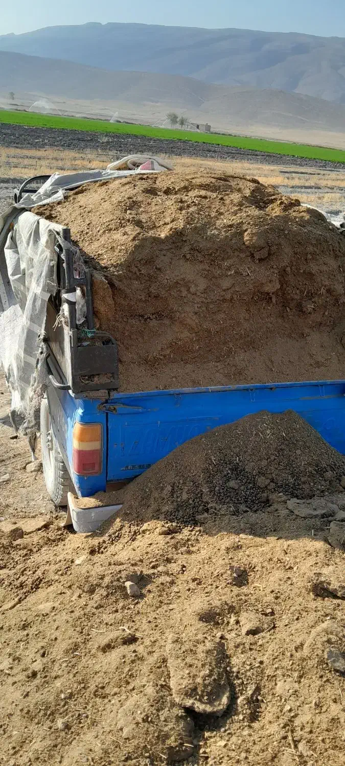 خرید و فروش کود گوسفند و گاو|خدمات باغبانی و درختکاری|فیروزآباد (فارس), |دیوار