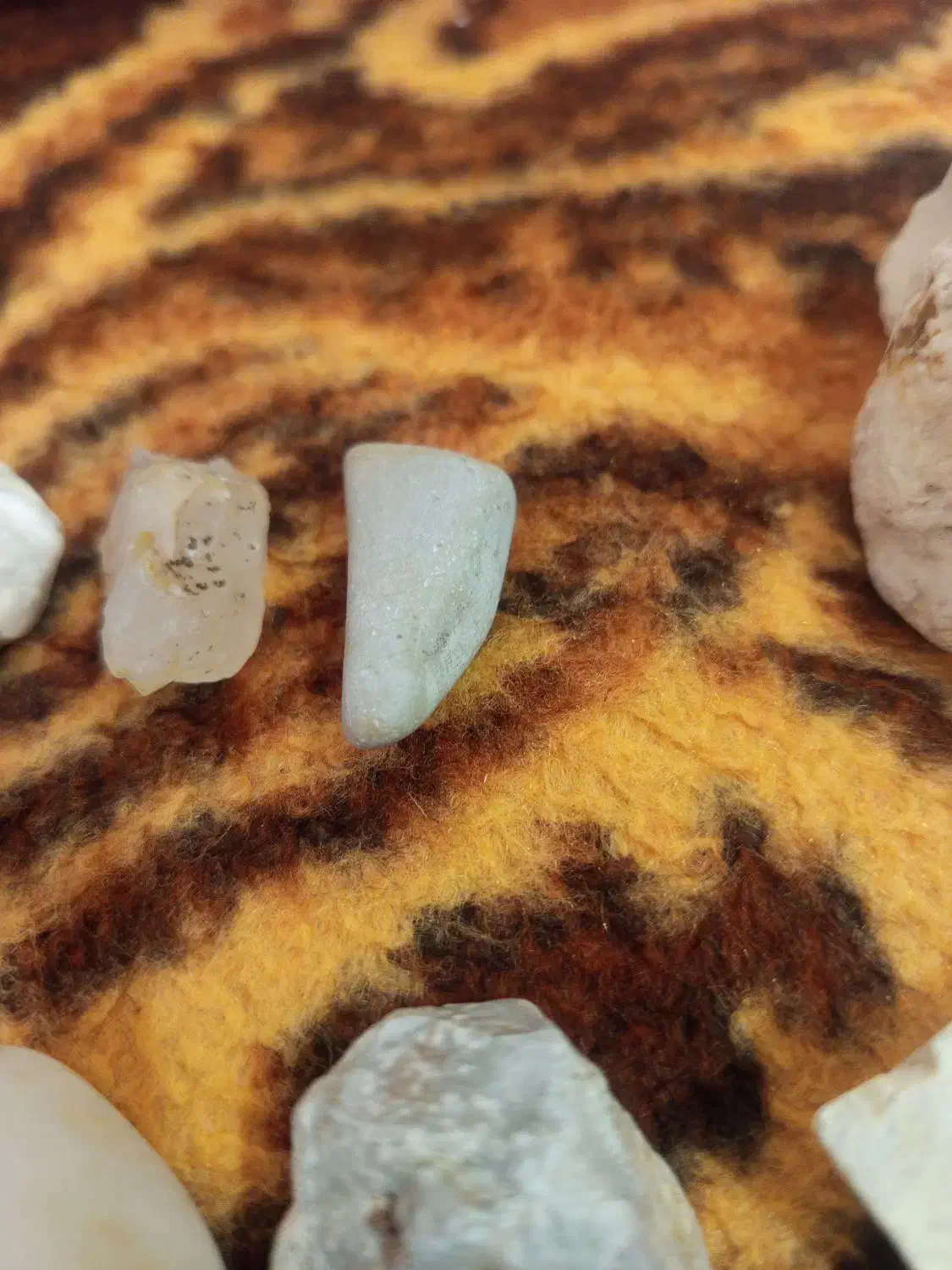 سنگ زینتئ|زیورآلات و اکسسوری|مشگین شهر, |دیوار