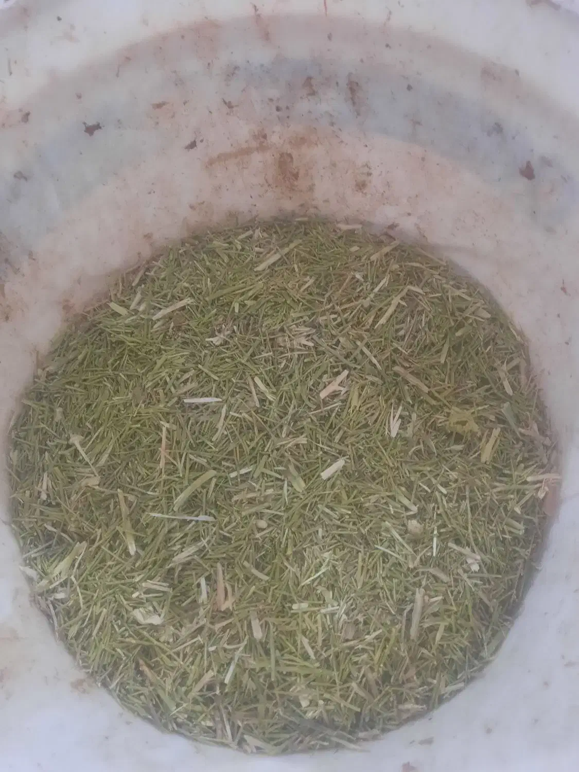 خار شتر فروشی|لوازم جانبی حیوانات|تربتحیدریه, پائین ولایت|دیوار