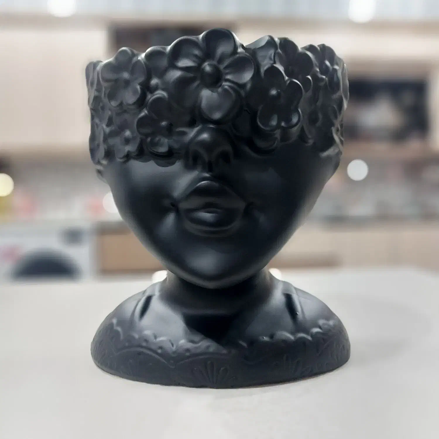 گلدان گل اپارتمانی چهره|گل و گیاه طبیعی|میبد, |دیوار