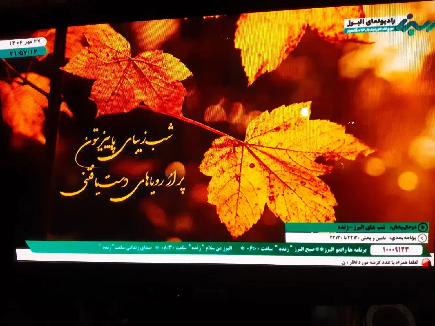 تلوزیون ۴۲ اینچ پاناسونیک با ضمانت|تلویزیون و پروژکتور|کرج, بنیاد|دیوار