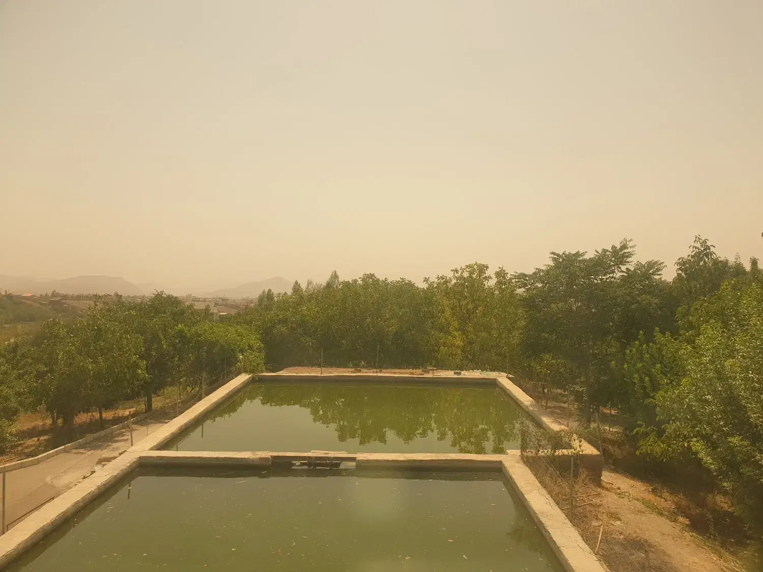 کارگر باغ وارد به باغبانی|استخدام صنعتی، فنی، مهندسی|تهران, اختیاریه|دیوار