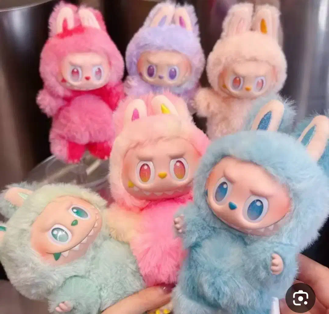 لبوبو فقط 345|اسباب‌بازی بچه|مراغه, |دیوار